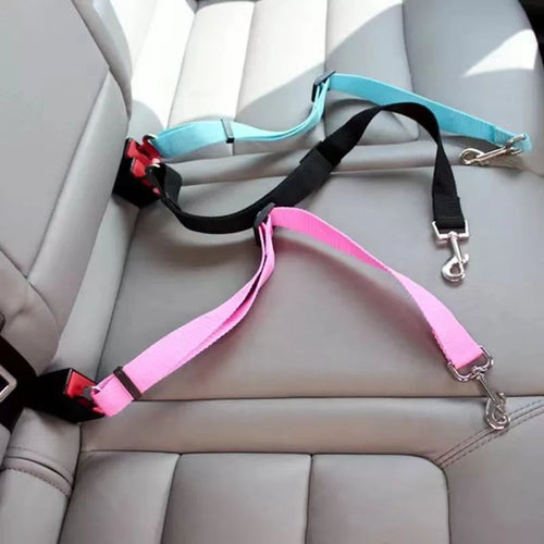 Dog secured with the safety belt in a car
