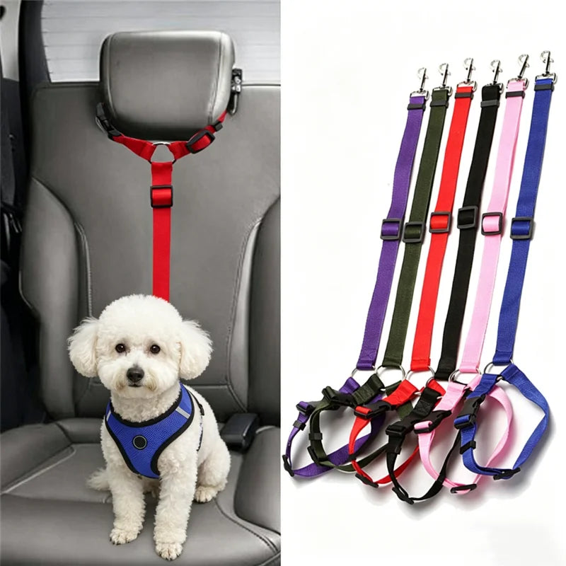 Safety belt connected to dog harness