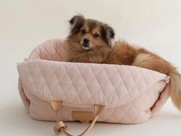 Airline-Friendly Soft Pet Carrier — Waterproof, Sizes S/L